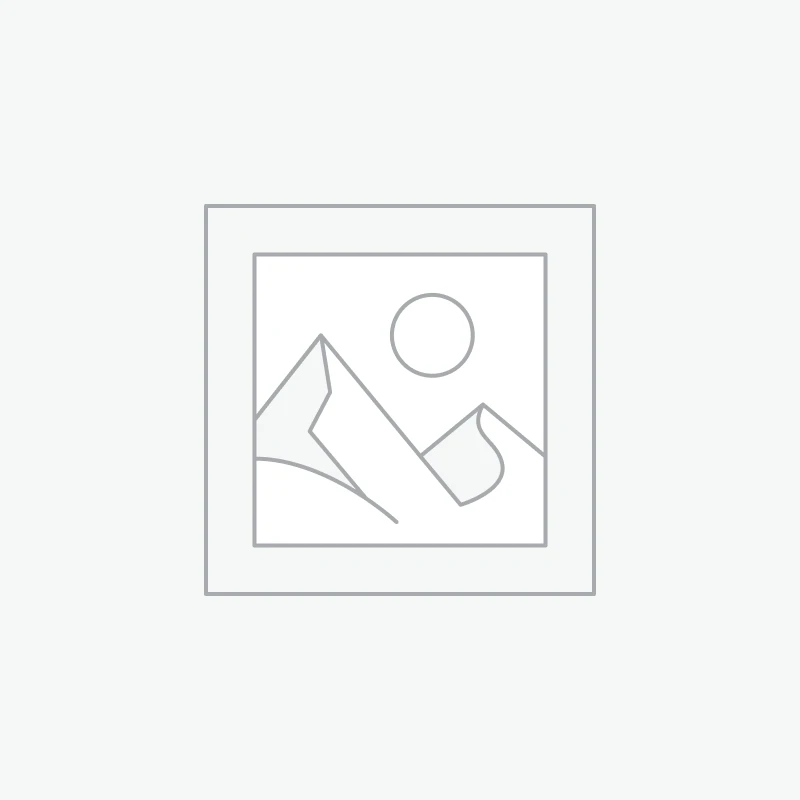 Elegant Summer Dress